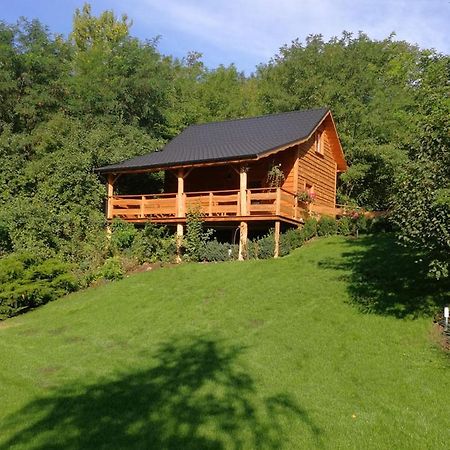 Villa Eden Slesin  Luaran gambar