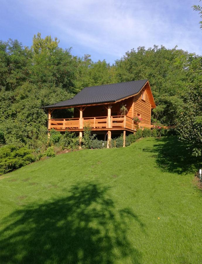 Villa Eden Slesin  Luaran gambar