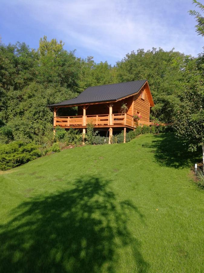 Villa Eden Slesin  Luaran gambar